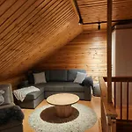 Villa-hanhi *