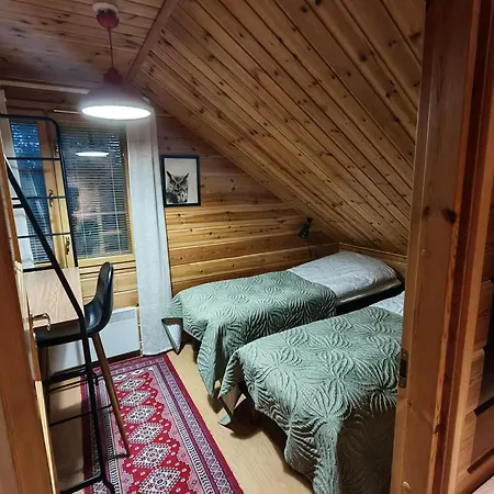 Villa-hanhi * ロヴァニエミ