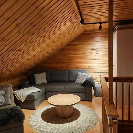 Villa-hanhi *