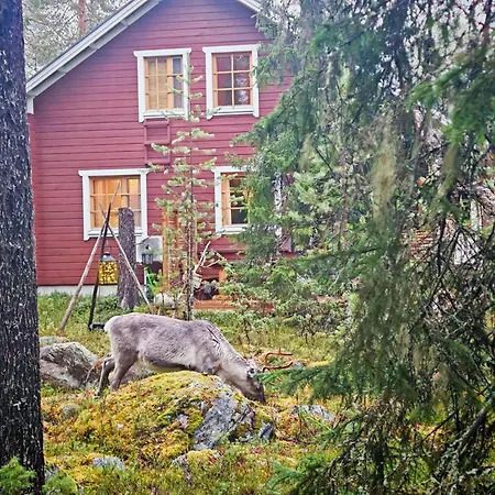 Villa-hanhi * ロヴァニエミ