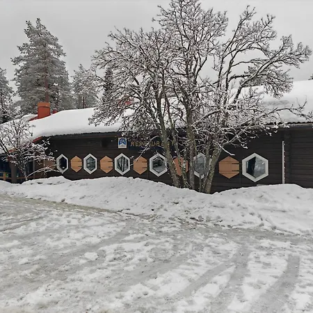 Villa-hanhi * Рованиеми