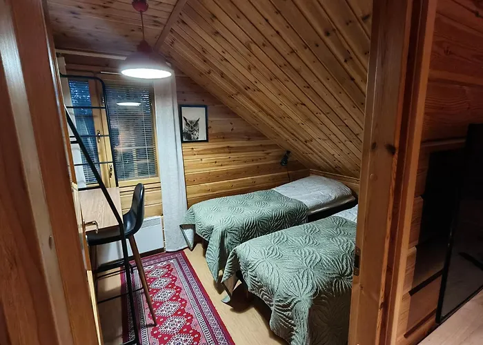 Villa-hanhi * Ροβανιέμι