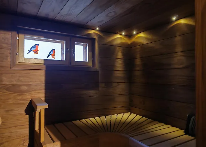 Villa-hanhi Ροβανιέμι