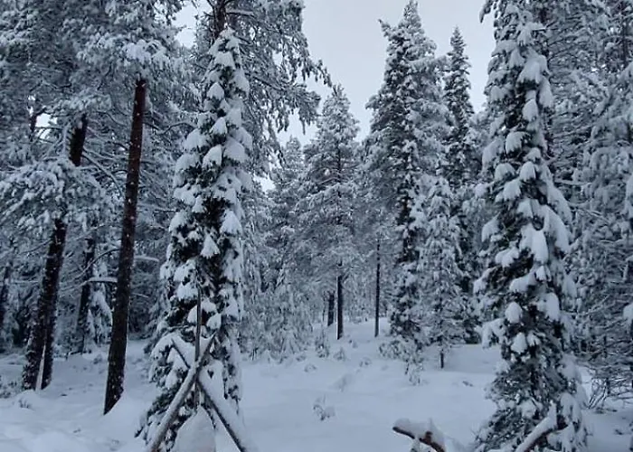 Villa-hanhi Ροβανιέμι